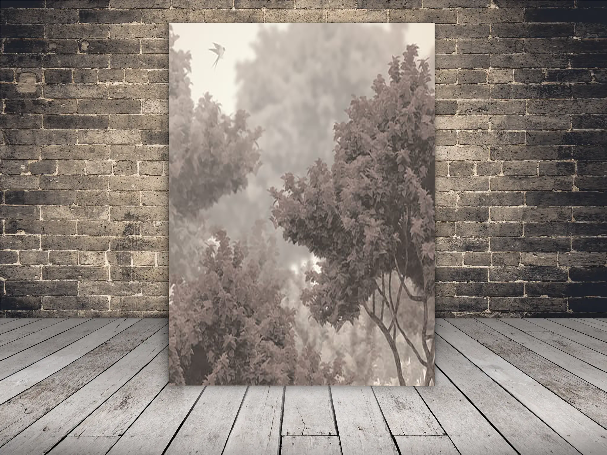 Background