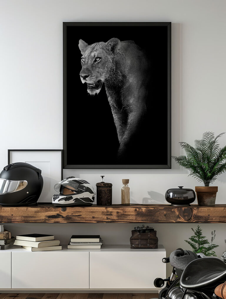 Czarna Lwica – Monochromatyczny Portret Dzikiego Zwierzęcia Plakat