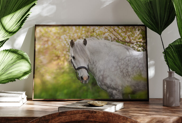 Biały Koń wśród Zieleni – Elegancki Portret Konia Plakat