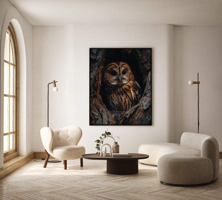 Sowa w Dziupli – Realistyczny Portret Leśnego Ptaka Plakat