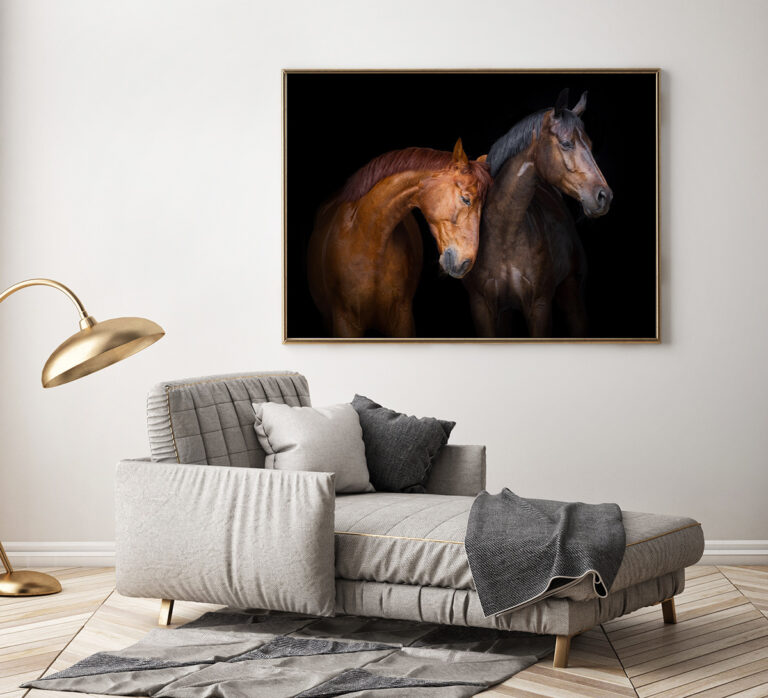 Dwa Konie na Czarnym Tle – Elegancki Portret w Ciemnej Scenerii Plakat
