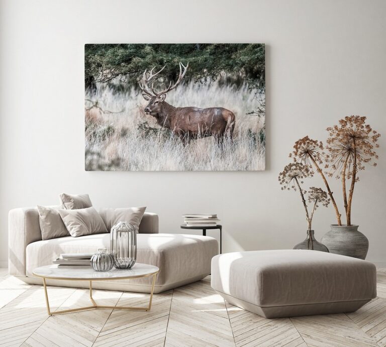Król leśnej łąki obraz